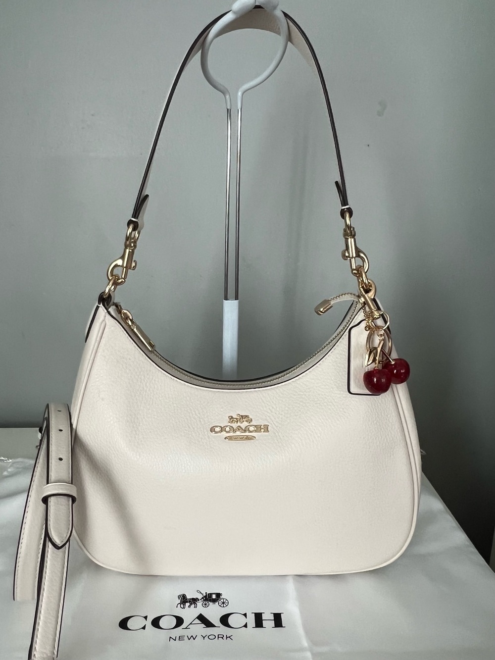 Coach Teri Hobo Bag